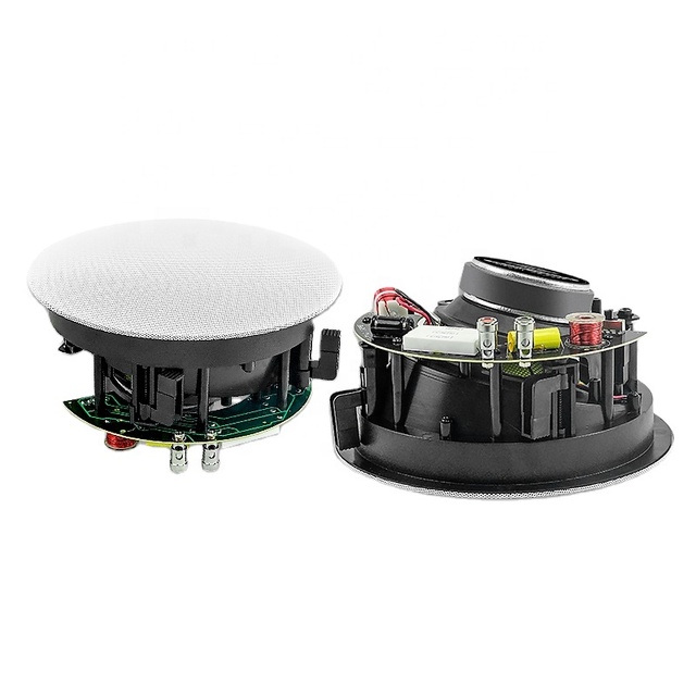 High Quality 6" Woofer Ceiling Mount Home Theatre Speaker System 60W 8 Ohm 25mm VC Metal Cabinet Ceiling Speaker