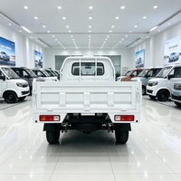 Camionnette électrique économique avec lecteur MP5, conduite à gauche, véhicule de service municipal pour le Qatar