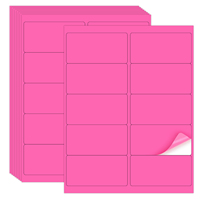 Etiquetas Adhesivas Fluorescentes Rosas de 2"x4", Etiquetas Imprimibles en Láser e Inyección de Tinta, 40 Hojas, Etiquetas para Cajas de Mudanza y Organización de Oficina