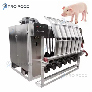 Machine automatique d'épilation et d'échaudage de porc pour traiter la tête et les trotteurs de pieds de peau de porc dans les usines de viande - Product Image 1