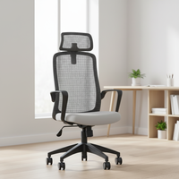 Chaise ergonomique avec support lombaire, appui-tête réglable 2D, dossier en maille respirante, dossier renforcé en fibre de verre PP, accoudoirs fixes