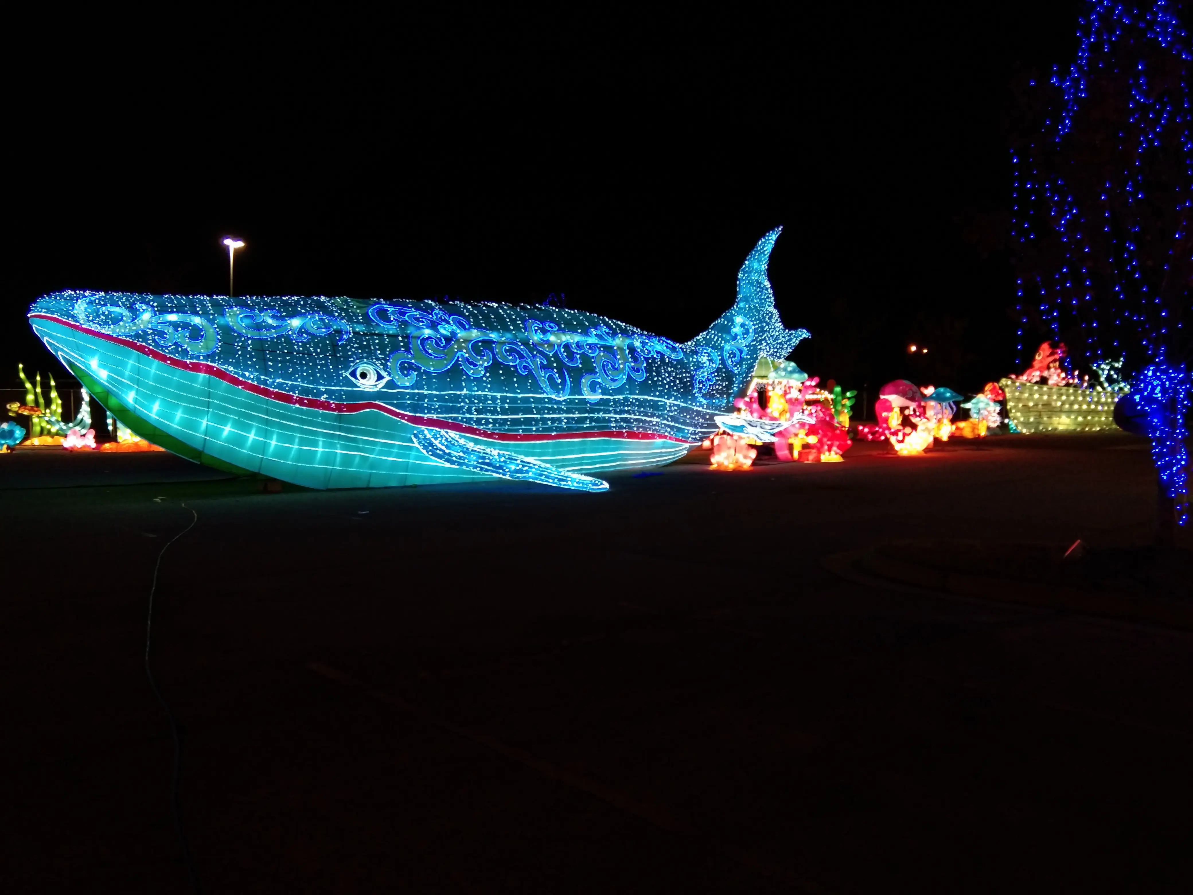 Işık gösterisi gece dekorasyon denizanası fener okyanus dünya balina deniz hayvanlar için eğlence parkı dekoratif fenerler