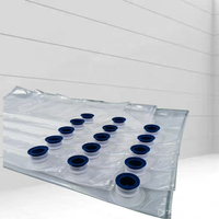 Sac BIB Aseptique Transparent sur Mesure 3L 5L 10L 20L avec Bouchon Stérile Transparent pour l'Emballage de Liquides, Œufs, Boissons et Huiles