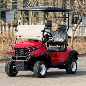 <span class=keywords><strong>Voiturette</strong></span> de golf à 2 places entièrement modifiable et homologuée - Product Image 5