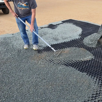 Grilles de renforcement alvéolaires en plastique HDPE pour pelouses et parkings, épaisseur personnalisable
