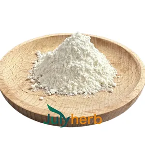 Julyherb Reliable Quality Factory Supply Food Grade 90% Fava Bean Protein Powder