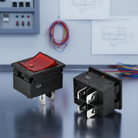 Disjoncteur bipolaire à levier Topstone L5, boîtier plastique et métal, réinitialisation manuelle, protection contre les surcharges, AC 125-250V