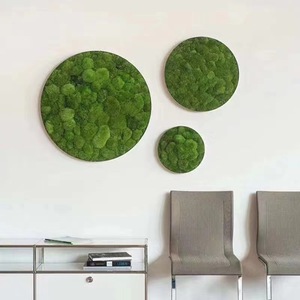 Material de pared de musgo verde preservado Dream Castle, 1 metro cuadrado, para decoración de interiores - Product Image 2
