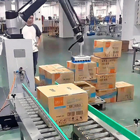 Palettiseur collaboratif 30 kg, bras robotisé 6 axes, empilage automatique de sacs et de boîtes pour les applications dans les lignes d'alimentation, de boissons et d'emballage