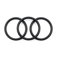 Großformatiger Lebensmittelechter VMQ Silikon-Gummi O-Ring Hochtemperaturbeständiger Farbiger Präzisions-Dichtungsring