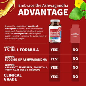 粉末とピルの大人のためのOEMアシュワサンダカプセルサポート工場直送 - Product Image 3