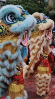 Haute qualité traditionnel chinois Lion danse couleur Art nouvel an adulte Dragon laine peluche Performance authentique Lion mascotte Costume