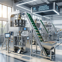 Convoyeur à bande élévatrice en acier inoxydable personnalisé, contrôlé par PLC, avec grande trémie, garantie 1 an, MOQ 1 ensemble