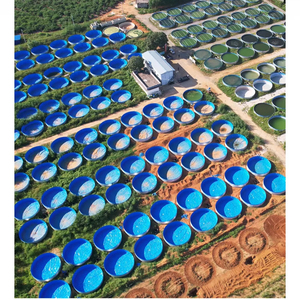ถังปลา<span class=keywords><strong>นิล</strong></span> PVC <span class=keywords><strong>ป</strong></span>รับแต่งได้ - Product Image 2
