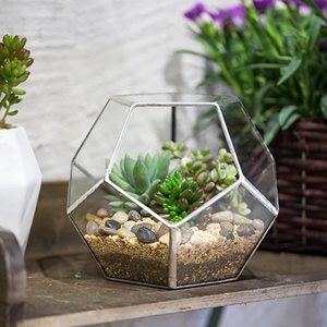 Mini contenitore di terrario geometrico in vetro all'ingrosso Set di terrari in oro Set di vasi da fiori in vetro fioriera vaso ciotola scatola di visualizzazione Decor - Product Image 6