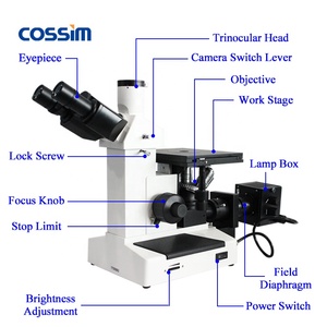 100x-1250x trinular בית ספר תעשייתי הפוך מיקרוסקופ מתכת עם מנורת הלוגן לחיפוי חומר ציפוי - Product Image 4
