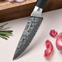 3,5-inch Damascus staal VG10 kern fruitmes, ultra scherp schilmes met Pakka houten handvat