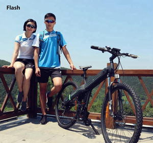 <span class=keywords><strong>Ecotric</strong></span> electrics 36v 500w e Bike bicycle aluminum alloy suspension lamp electric bicycle china - Product Image 6