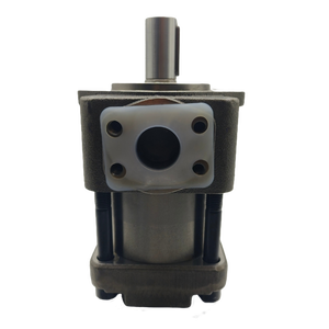 Bombas Hidráulicas, Bomba de Engranajes para Máquina de Fundición a Presión QT62-80F-BP-Z QT62-100 QT62-125, Bomba de Engranajes Internos, Bomba de Aceite, Hidráulica Japonesa - Product Image 5