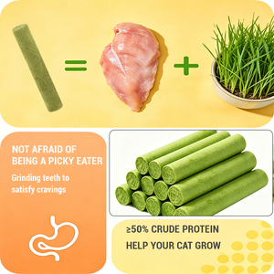 Snacks <span class=keywords><strong>de</strong></span> Pollo Liofilizado y Hierba Gatera para Gatos al por Mayor: Salud Digestiva, Limpieza Dental y Eliminación <span class=keywords><strong>de</strong></span> Bolas <span class=keywords><strong>de</strong></span> Pelo - Product Image 2
