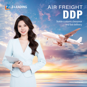 Cửa đến cửa giá rẻ biển đại lý vận chuyển DDP nhập khẩu xuất Khẩu Vận chuyển hàng hóa tỷ lệ tính toán hậu cần Trung Quốc vận chuyển giao nhận - Product Image 6