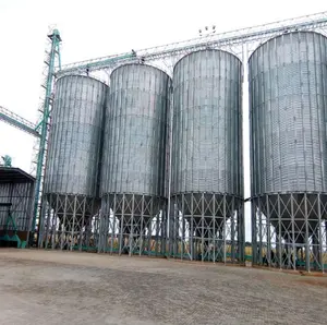 Silo de aço silo do armazenamento do milho da fabricação profissional para venda