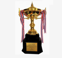 Prix cadeau de trophée d'argent de conception personnelle de Promotion directe d'usine, coupe de trophée de cristal de verre/imprimé en 3D/Football/Tennis/Cricket