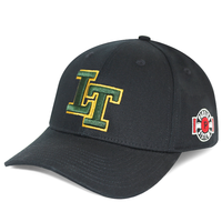 Gorra de Béisbol Estructurada de 6 Paneles HBA55 de Primera Calidad, 100% Algodón, Unisex, Ajustable, con Logotipo Bordado Personalizado, Protección Solar para Exteriores