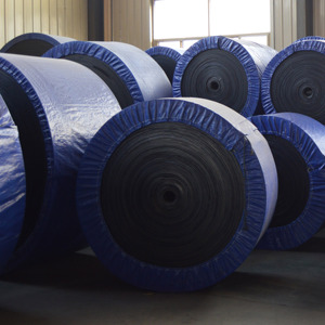 Nhà máy cung cấp băng tải chịu lạnh cho kho đông lạnh - Product Image 3