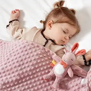 Can be bundled 2021 spring and autumn blanket cover soft swaddle polyester baby minky dot blanket