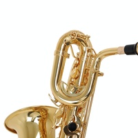 High Quality Brass Eb Baritone Saxophone with Gold Lacquer Finish Hand Engravings Easy Install Wind Instrument with Accessories