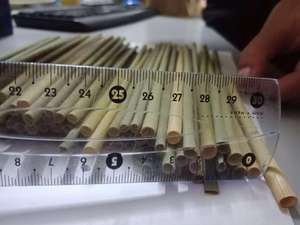 Pajita de hierba mejor precio en Vietnam - Product Image 3