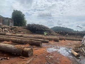 Indonésie Contreplaqué de sol pour conteneurs 28mm Contreplaqué marin Contreplaqué de bois mixte - Product Image 6