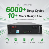 Paquete de Baterías LiFePO4 de Alta Capacidad, 51.2V 100Ah, 5kWh, Montaje en Rack, Ciclo Profundo, para Sistemas de Energía Solar