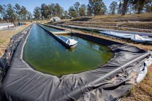 Géomembrane de revêtement de <span class=keywords><strong>d</strong></span>écharge pour les usines chimiques, la conservation de l'<span class=keywords><strong>eau</strong></span>, les terrains de golf, les revêtements de lacs - Product Image 6