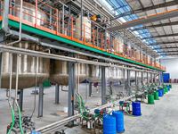 Protection Extrême Polyuréthane Anti-Jaunissement, Revêtement de Finition Écologique Super Résistant, Transparent et Facile à Utiliser