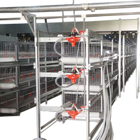 Cages à poules de type H de haute qualité, cages à poules pondeuses, cages à cailles à vendre, cage à poules pondeuses