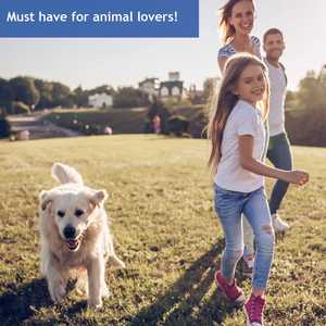 Outil de soin pour animaux de compagnie en plein air pour enlever les tiques sans douleur Portable pour chiens chats humains - Product Image 5