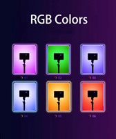 Lumière vidéo LED RVB à intensité variable Température de couleur réglable 90+ CRI Batterie Type-C 2000mAh pour appareil photo reflex numérique Enregistrement de téléphone Photographie