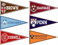 Triangle fanion drapeaux personnalisés tricoté Polyester imprimé sport Seahawks bruant nfl bannière collège fanions annoncer décorer