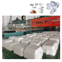 Ps Foam Food Tray Boîte en polystyrène Plaque thermoplastique jetable Exportation vers la Jordanie