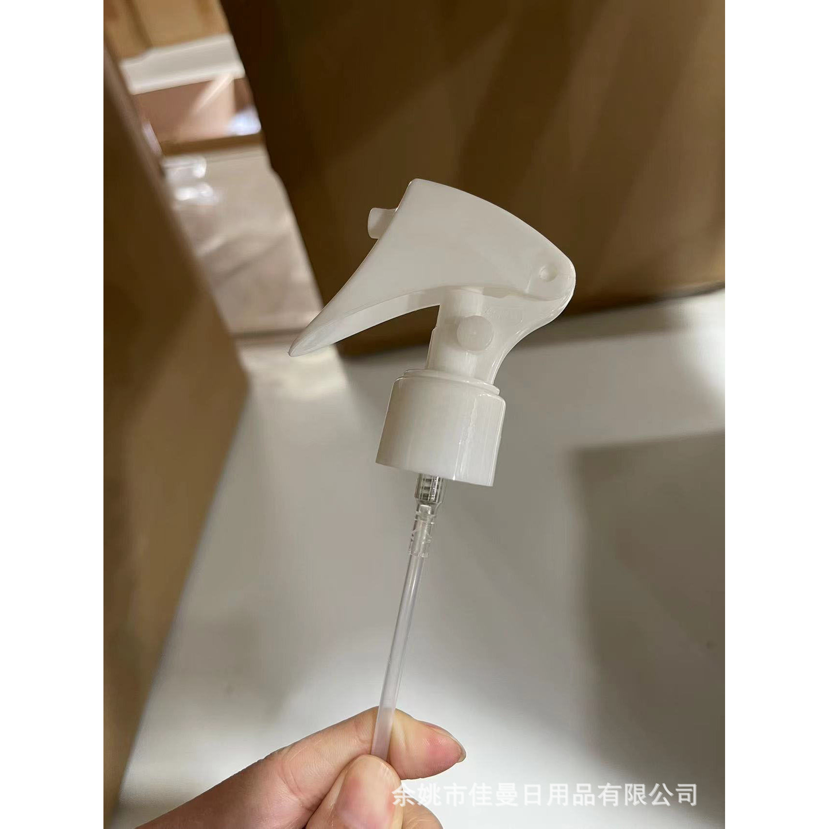 H01 โปร่งใส