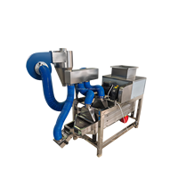 Machine à peler les fèves de cacao 100 kg/h, éplucheur automatique de fèves de cacao, éplucheur de fèves de cacao haute efficacité