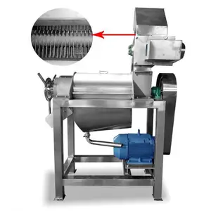Ingwersaft-Schnecken presse in Lebensmittel qualität/Kaltpress-Entsafter für Getränke fabrik/Granatapfel-Entsafter presse