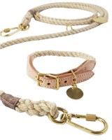 Ao Sheng Usine Logo Personnalisé Nylon Collier Filet Collier Boucle Réglable Réfléchissant Toile Pour Animaux Marche Quotidienne