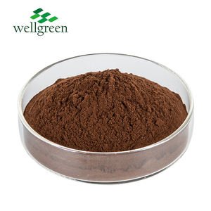 有機ポリサッカリド10%-50% Phellinus Igniarius/Sang-Huangエキスパウダー - Product Image 2