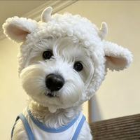 Chapeau pour chien en peluche mignon en forme de petite brebis avec cornes bouclées, accessoire photo pour petit chien, coiffe décorative amusante