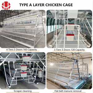 กรงไก่แบบอัตโนมัติเต็มรูปแบบ กรงไก่แบบแบตเตอรี่ ระบบเก็บไข่อัตโนมัติ ป้องกันการต่อย คุณภาพสูง ผลิตจากลวดเหล็ก Q235 รับประกัน 20 ปี - Product Image 4