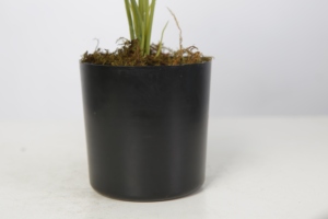 Venta al por mayor Monstera <span class=keywords><strong>plantas</strong></span> tamaño pequeño Artificial arbustos <span class=keywords><strong>plantas</strong></span> en macetas <span class=keywords><strong>plantas</strong></span> <span class=keywords><strong>artificiales</strong></span> casa estante de escritorio decoración de la Mesa - Product Image 6