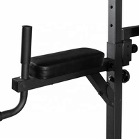 Équipement de gymnastique Outil domestique Réglable Multi-Fonction Force Fitness Power Tower Pull up Dip bar Station
